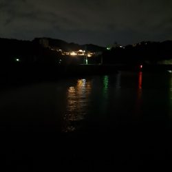 やっぱりカゴ天秤