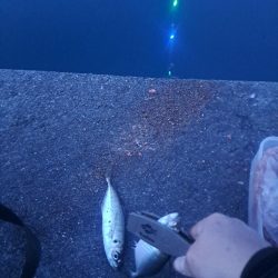 地合い30分で…