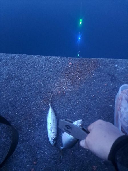 地合い30分で…