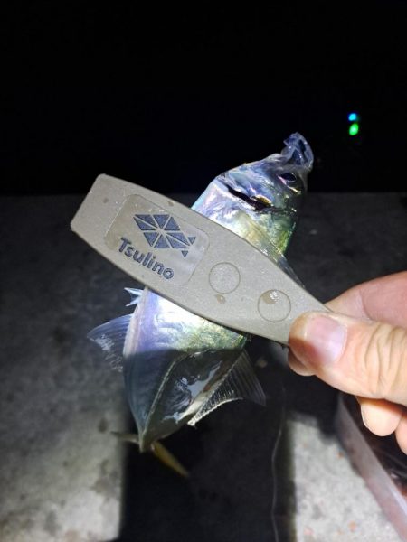 しょっぱい釣果