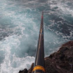 今シーズン初の寒グレ釣り