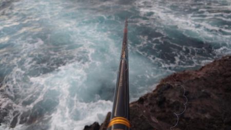 今シーズン初の寒グレ釣り