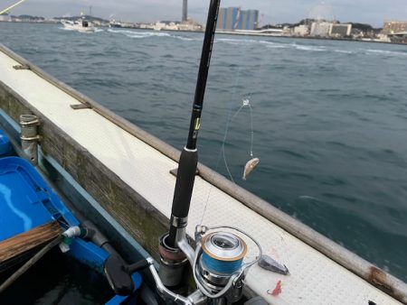 今年も関門アラカブ、行って来ました