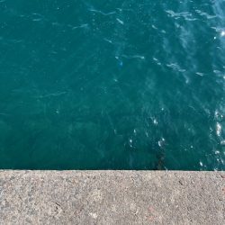 アジのサビキ釣りやってきました