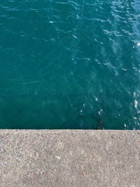 アジのサビキ釣りやってきました