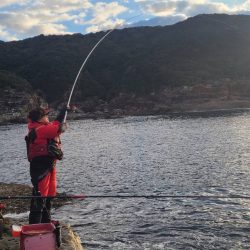 和歌山市江(吉丸渡船)でグレ釣り