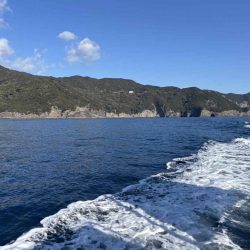 たかたかの釣り日記