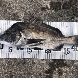 イチノ兄弟、釣果!