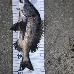 イチノ兄弟、釣果!