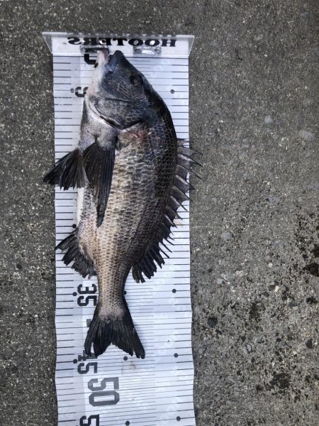 イチノ兄弟、釣果!