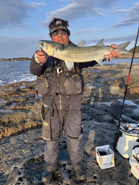 和歌山市江(吉丸渡船)でグレ釣り