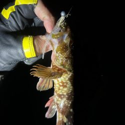 ライトロックゲーム