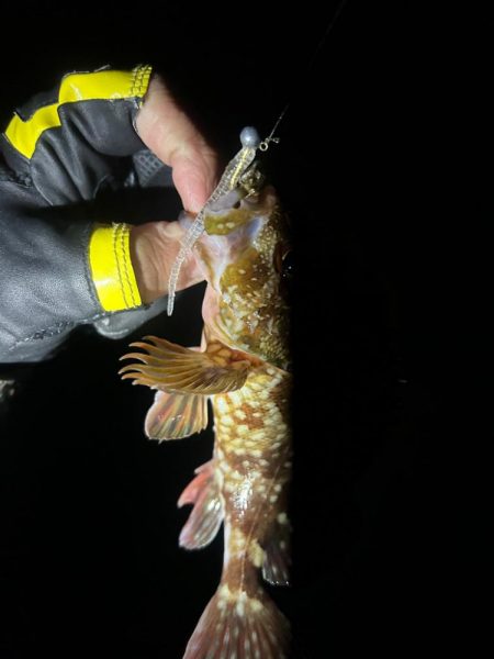 ライトロックゲーム