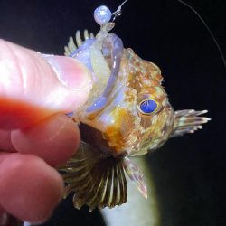 ハッピーニューイヤーは新釣法で!