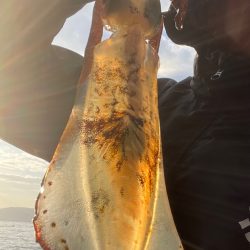 釣り納めと釣り始め!