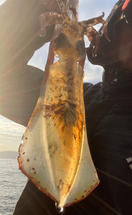 釣り納めと釣り始め!