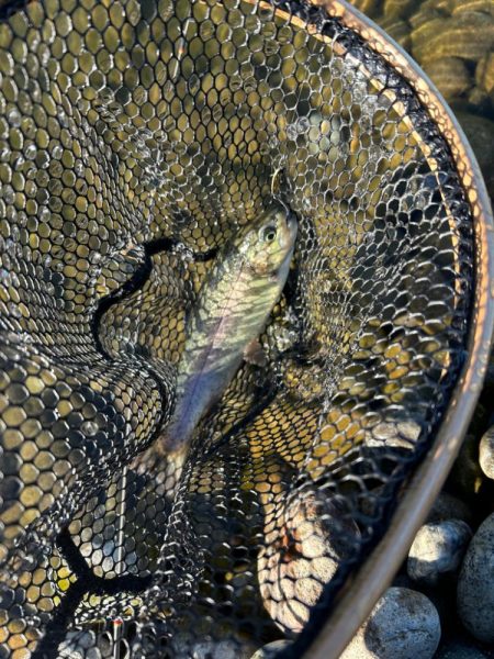 北方マス釣り場へ