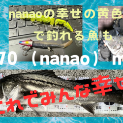 nanaoさんのおかげで2025年一発目のシーバスを頂きました！