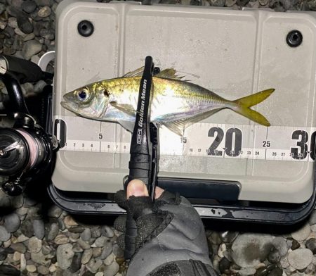 アジングつ抜け