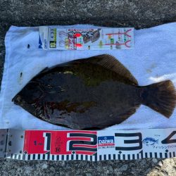 カレイ釣り🎣