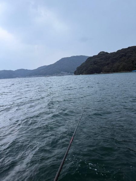 初心者でも釣れた😱