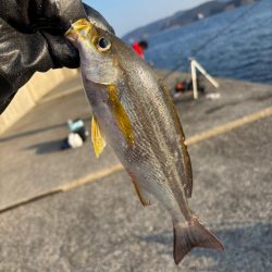 あけおめ小浦一文字