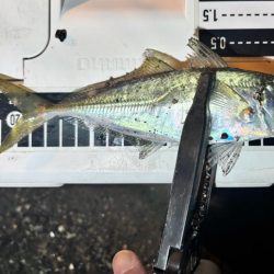 やっとこさ! 笑笑