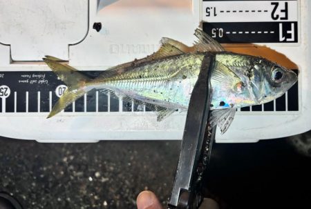 やっとこさ! 笑笑