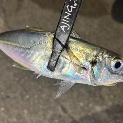 やっとこさ!2 笑笑