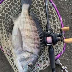 休日はチニング！