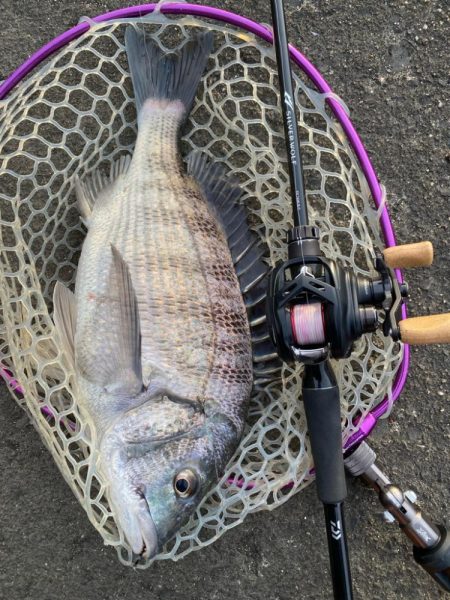 休日はチニング！