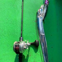 初釣りは船タチウオ