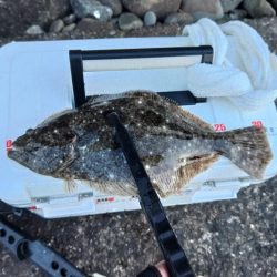 初釣り(尺)?フロートゲーム~