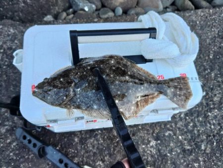 初釣り(尺)?フロートゲーム~