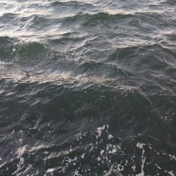 爆風アジング 尺有