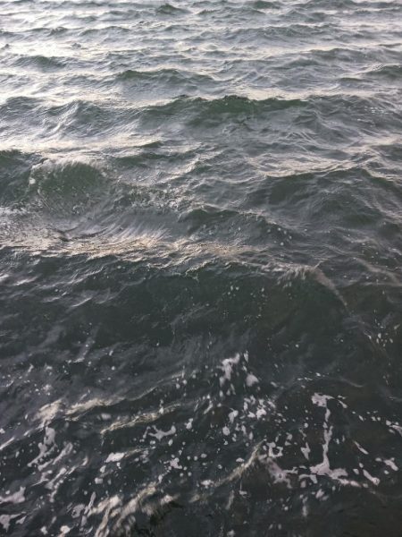 爆風アジング 尺有