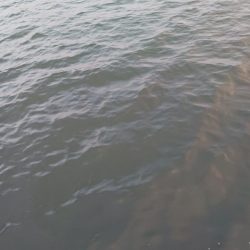 フロートアジング