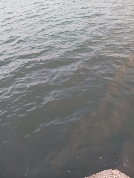 フロートアジング