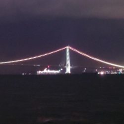 電気ウキ初釣り