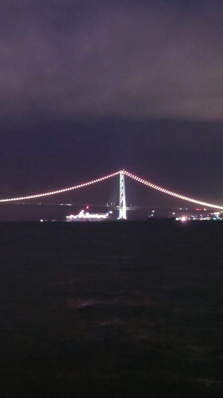 電気ウキ初釣り