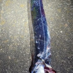 潮目的には微妙かなと思ってましたが