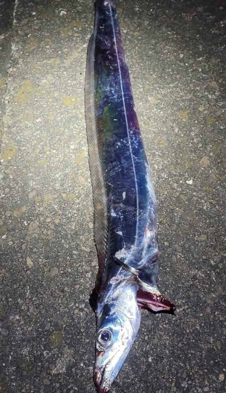 潮目的には微妙かなと思ってましたが