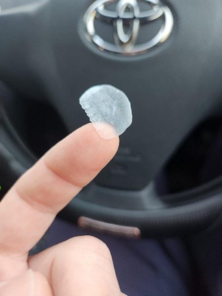 チニングでショアレッド！