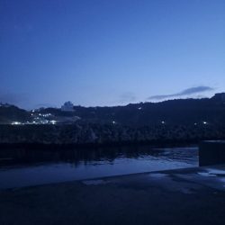 やっぱりカゴ天秤