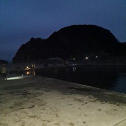 しょっぱい釣果