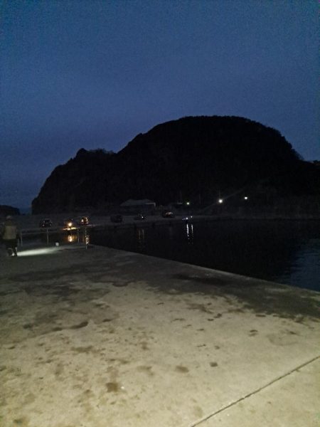 しょっぱい釣果