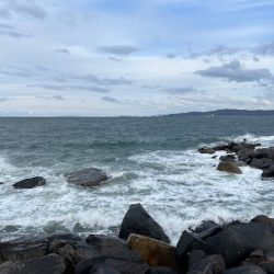 堤防からのキス釣りです