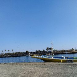 カワハギ釣り　島きち丸
