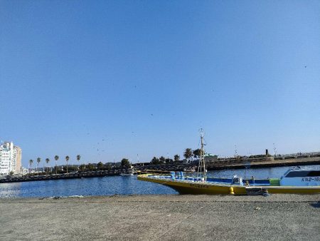 カワハギ釣り　島きち丸