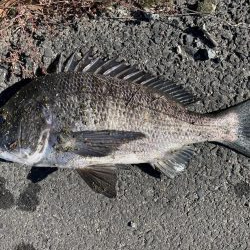 イチノ兄弟、釣果!